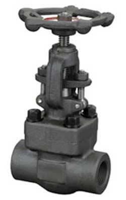 Forged Steel Globe Valve Threaded End Welded End Manufactruers Exporters in India